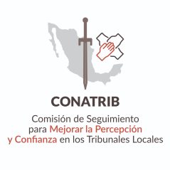 comision de seguimiento para mejorar la percepcion